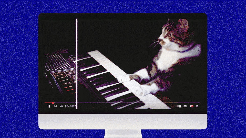 Video of cat playing piano being heavily edited with filters.