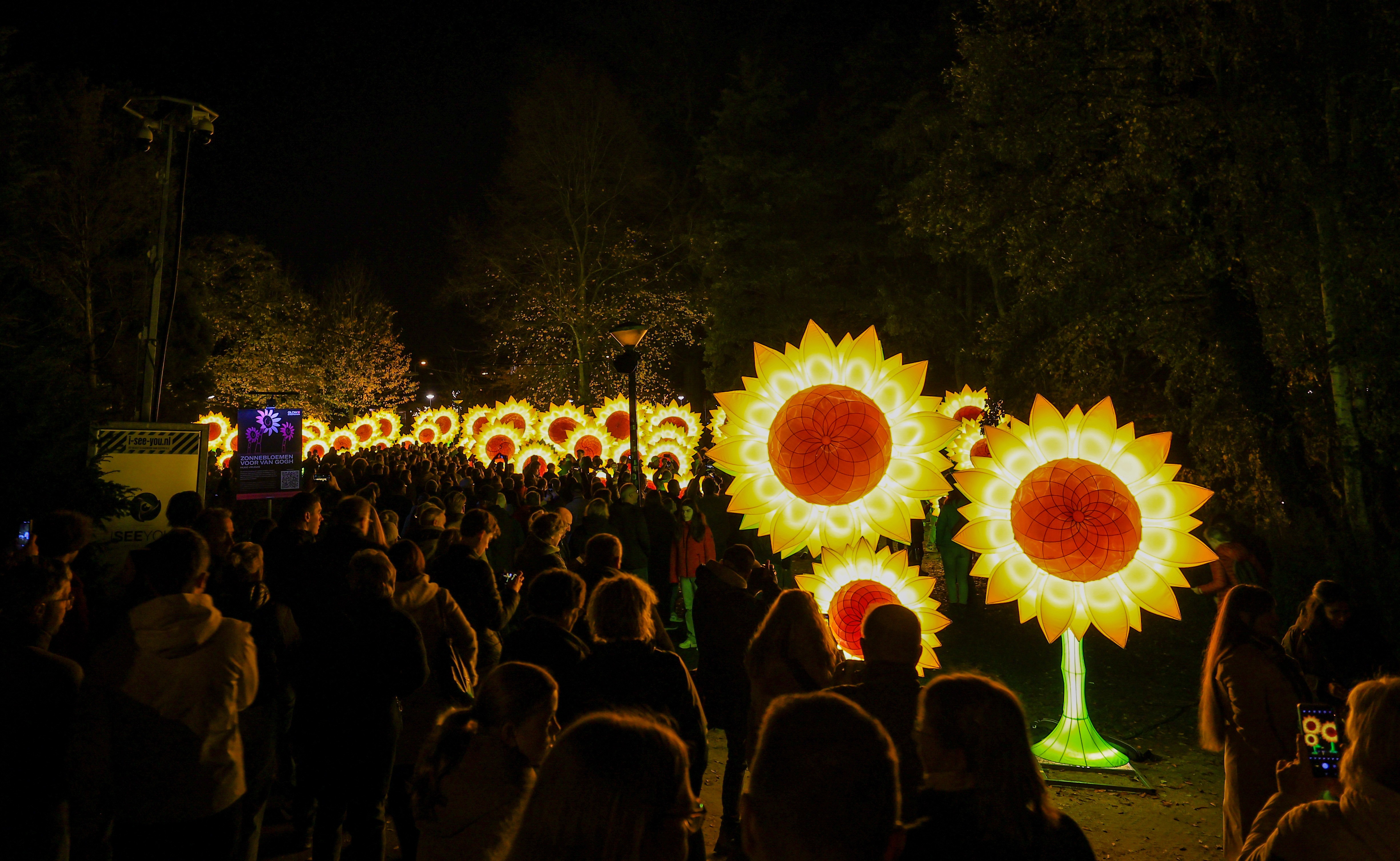A crowd walks beside large illuminated sunflower installations.