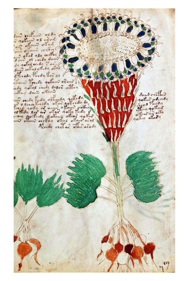 A page of the Voynich Manuscript