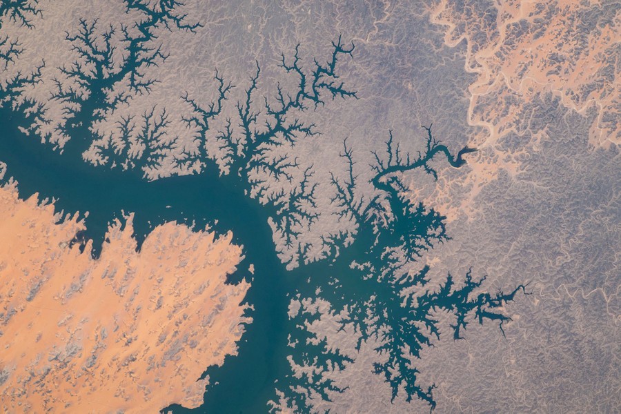 An image of the branching channels and valleys of a reservoir, seen from orbit