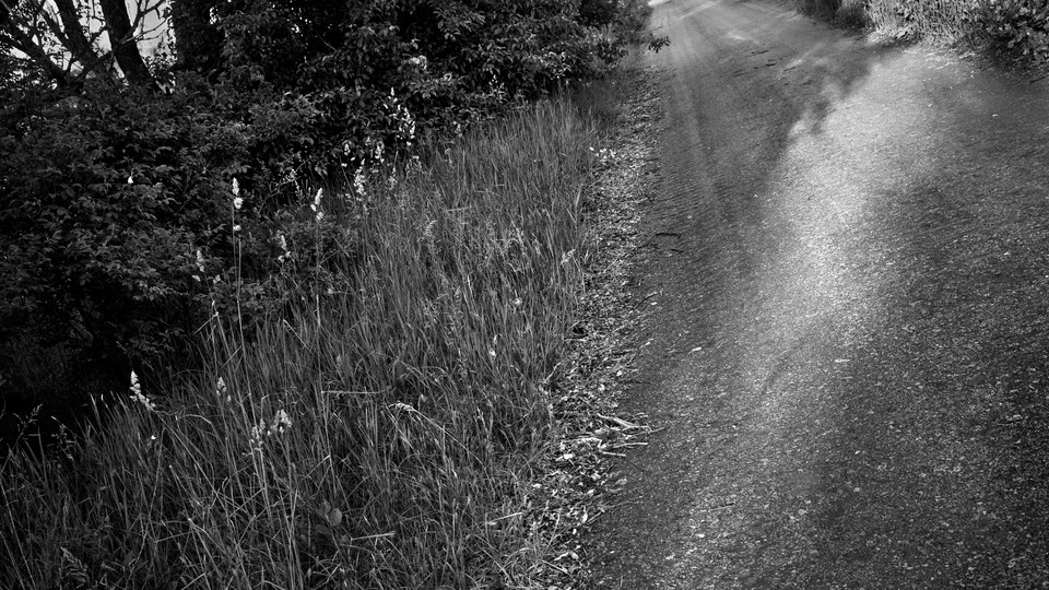 A black-and-white photo of a road dappled in sunlight and the shadows from trees