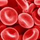 A microscopic-level photograph of red blood cells