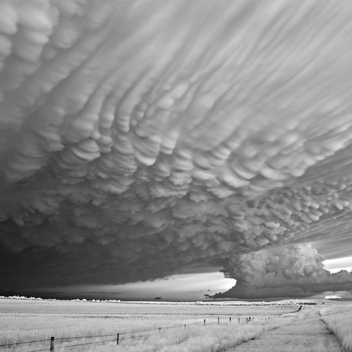 The 2018 Sony World Photography Awards The Atlantic The jury will consist of some of india's most renowned wildlife photographers. the 2018 sony world photography awards
