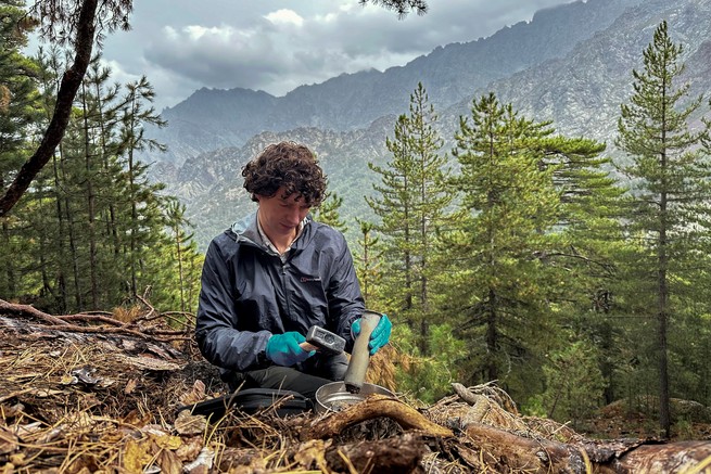 To collect fungal samples, the team hammers steel cores into the soil. In a forest in Asco, Corsica, the biologist Merlin Sheldrake sieves a sample to remove stones before getting the fungal-soil mixture on dry ice.