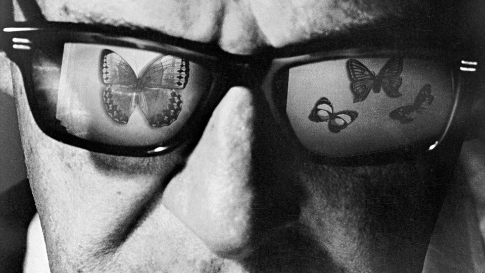 close up of a man's face wearing sunglasses with butterflies