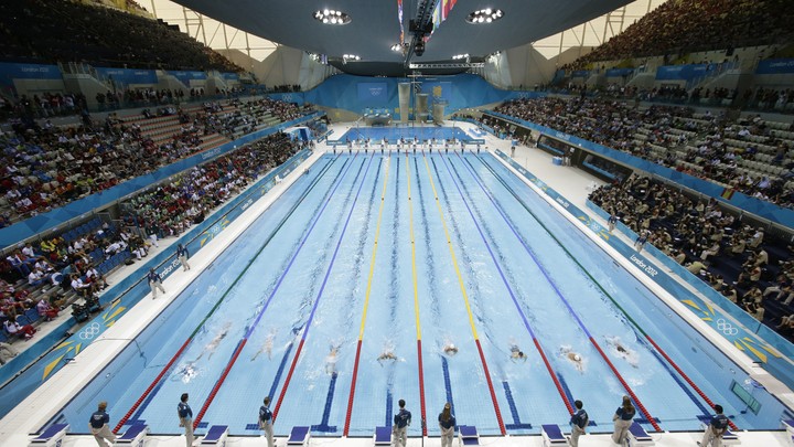 Image result for olympic swimming pool