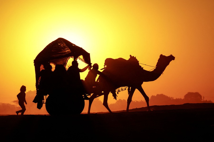 Several people ride in a cart pulled by a camel at sunset.