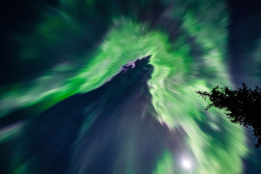 The northern lights illuminate the night sky, captured from the ground with a camera pointed straight up.