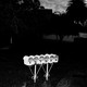 A row of white mailboxes glow in the flash of a photo taken at nighttime