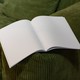 White empty magazine on green velvet sofa