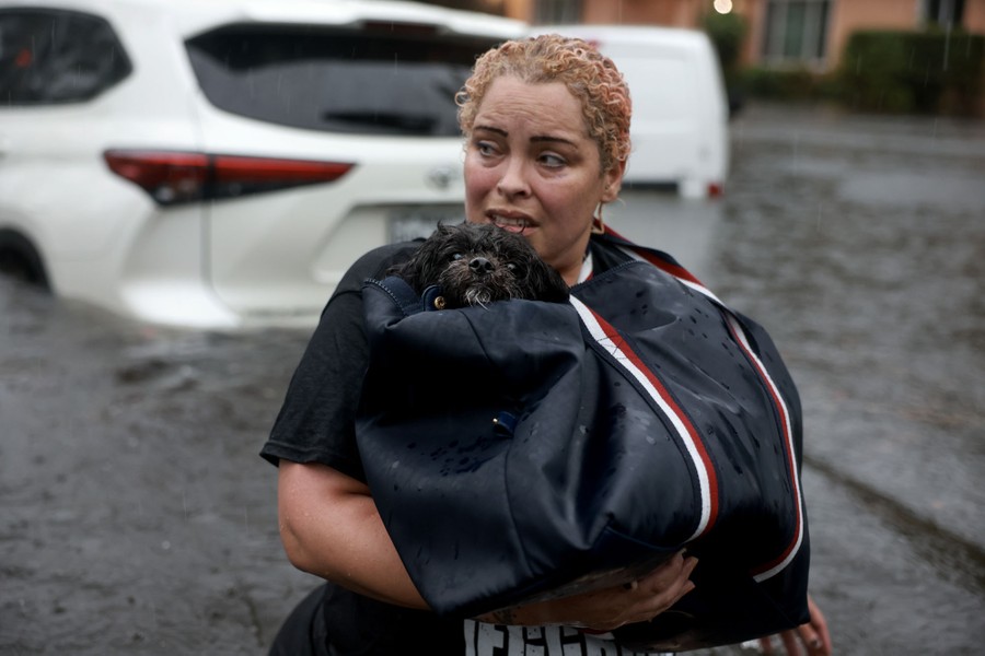 A person carries a bag and a small dog out of a flooded area.
