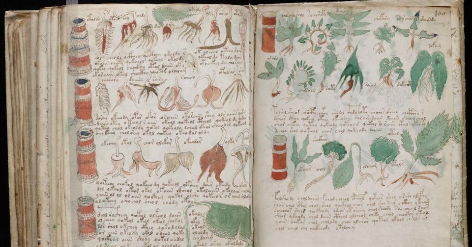 その他 THE VOYNICH MANUSCRIPT Voynich manuscript - Wikipedia