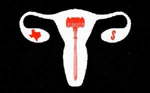 An illustration of a white uterus with a red gavel inside, and white fallopian tubes, with a red state of Texas in the left ovary and a red dollar sign in the right ovary