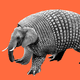Elephant in armadillo armor