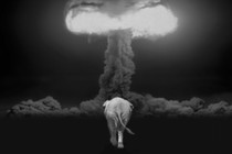 A photo-illustration of an elephant walking toward a nuclear detonation