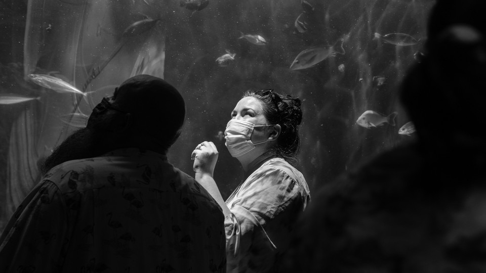 visitors in face masks at the Aquarium of the Pacific in July 2021
