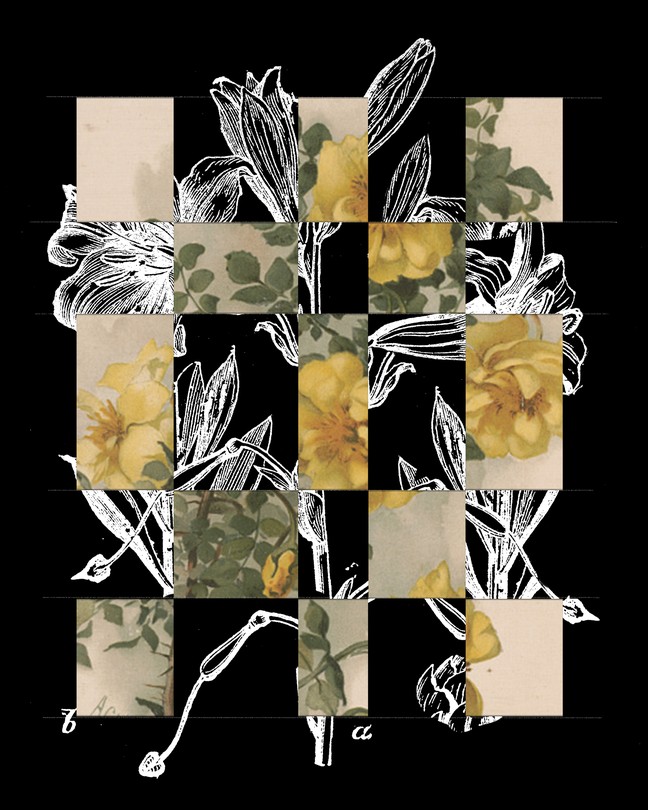 A collage showing a combination of white lilies and yellow roses.