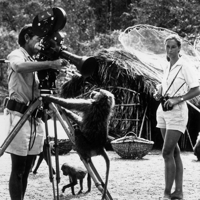 GettyImages-3226071 copy.jpg