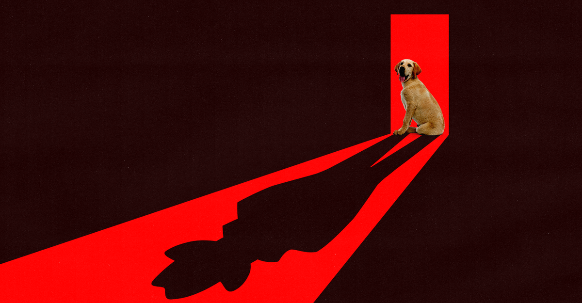 https://cdn.theatlantic.com/thumbor/f-i7P-rW16FM-w2ZZLTUOV4A9As=/0x78:2000x1120/1200x625/media/img/mt/2025/07/DogsDeepstate4/original.png
