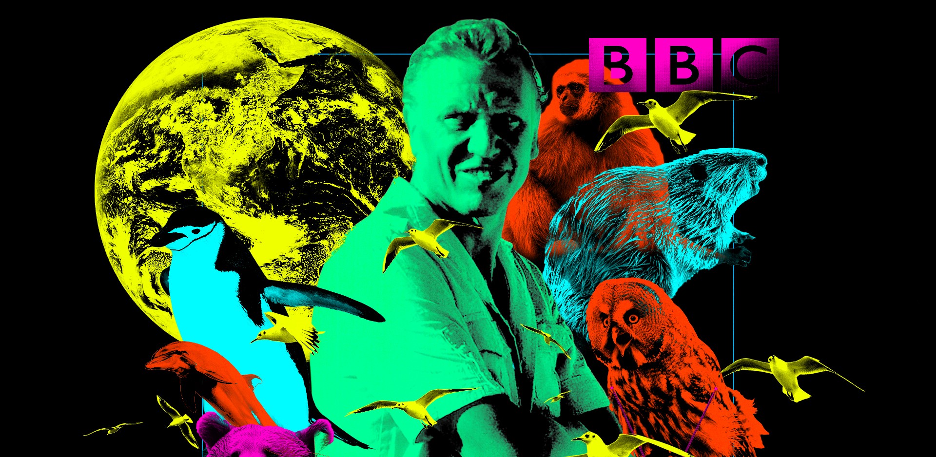 Every Episode Of David Attenborough S Life Series Ranked The
