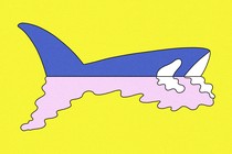 illustration of an orca