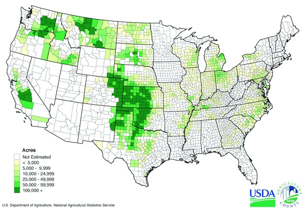 Wheat Farms And Wind Farms In Kansas - The Atlantic