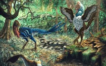 A pair of feathered dinosaurs in a forest
