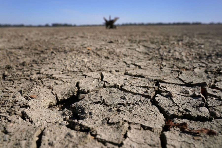 Cracked earth, seen in a broad stretch of dried-up Mississippi River bed.