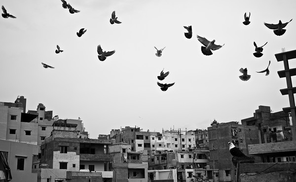 All Stories by Ahmed Fouad Alkhatib The Atlantic