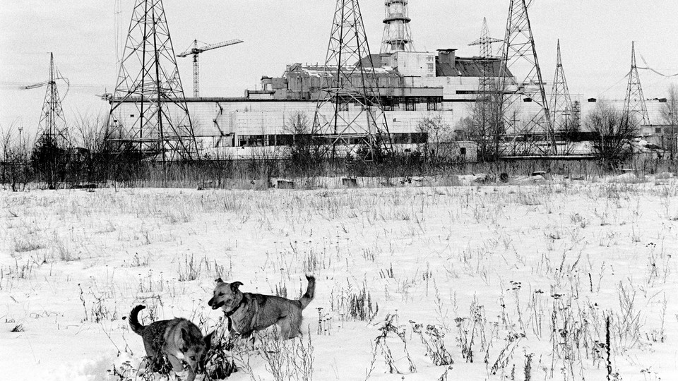 A black-and-white photo of two dogs playing in the snow, an abandoned power plant behind them