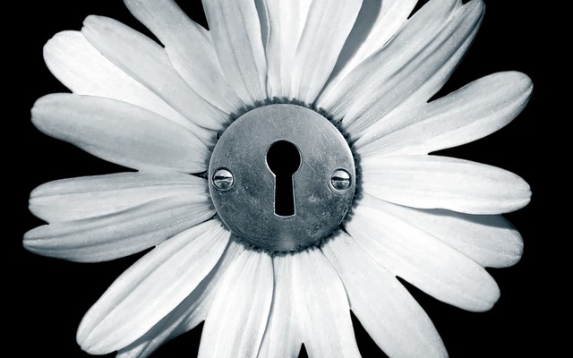 An illustration of a flower with a lock in its center