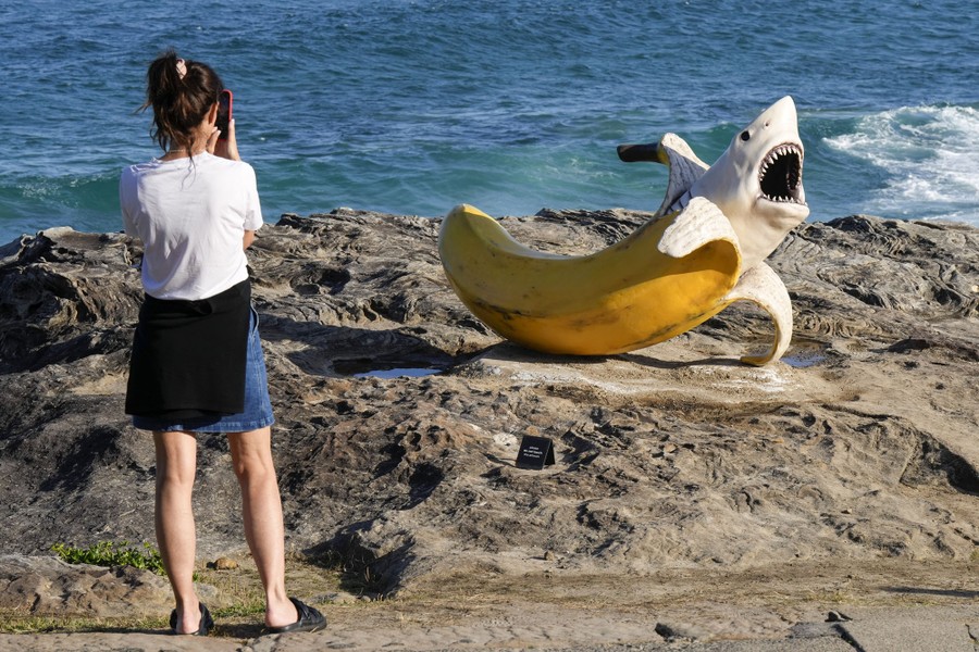 Along a shoreline, a person takes a photograph of a sculpture that is shaped like a giant banana with a shark's head.