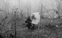 Black-and-white photo of a man trying to protect himself from tear gas among shrubs