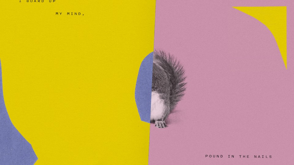 A split image collage, with half a purple blob on the left side and half a squirrel on the right. Text at the bottom and to says "I board up my mind, pound in the nails"