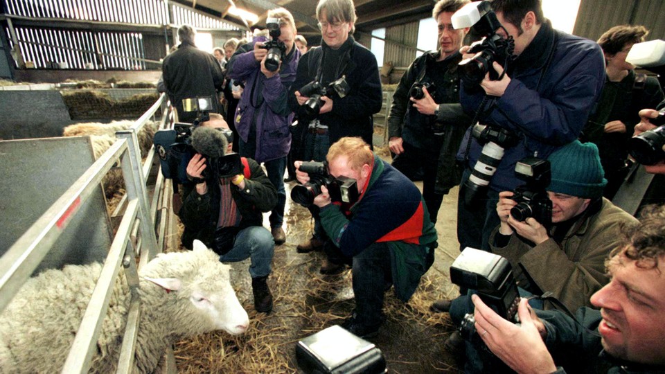 Dolly surrounded by a flock of photographers 