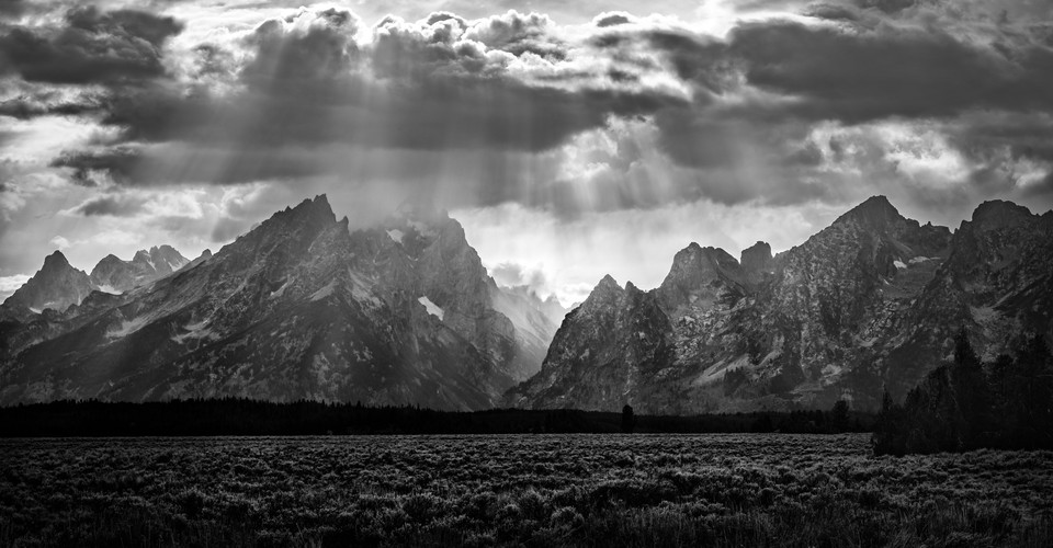 How to Donate to Fight Climate Change (Effectively) The Atlantic