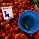 Tomatoes at an Istanbul bazaar