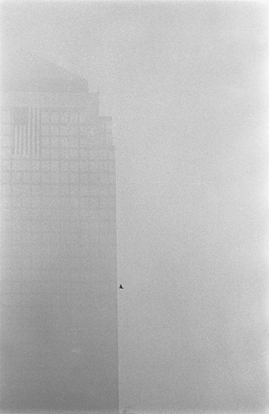 Photo of bird flying at edge of skyscraper through dense smoky haze