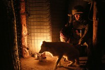 Ukrainian soldier in a bunker