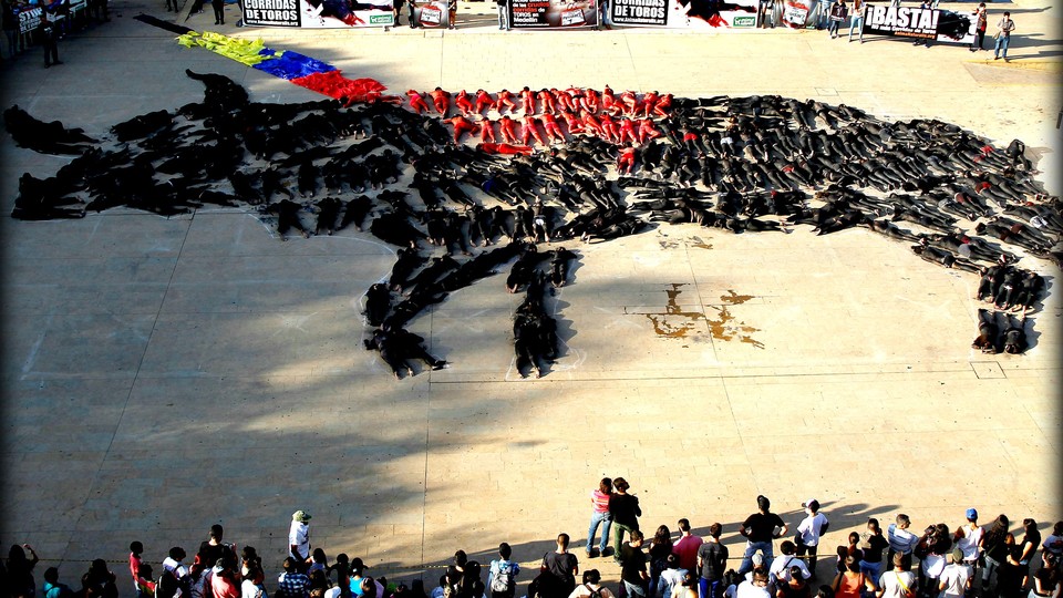 The Last Bullfight: How Tradition and Animal Rights Are Colliding in  Colombia - The Atlantic