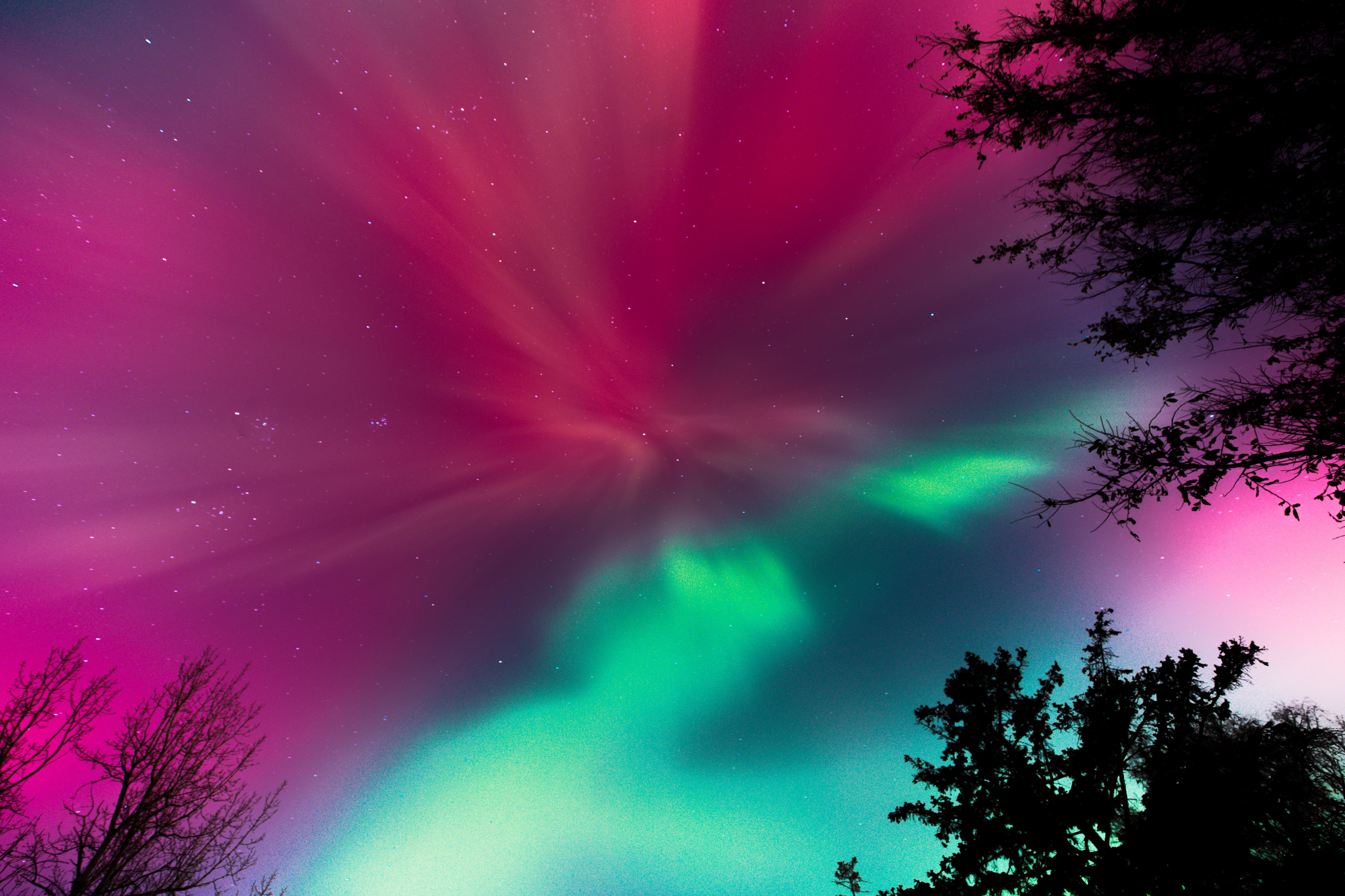 A view of the northern lights, looking straight up at swirls of pink and green lights