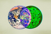 An illustration of an image of a petri dish and Earth overlapping in a Venn diagram.