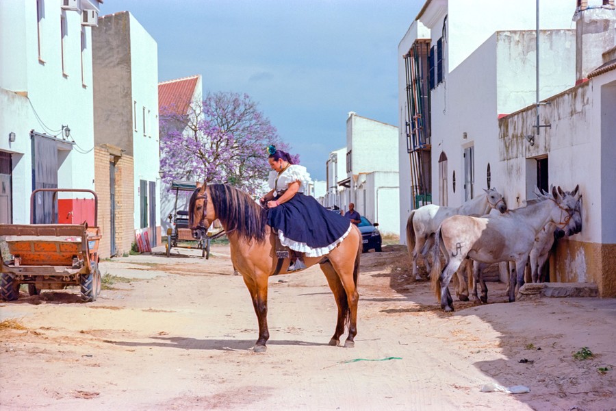 A woman sits atop a horse in an alleyway.