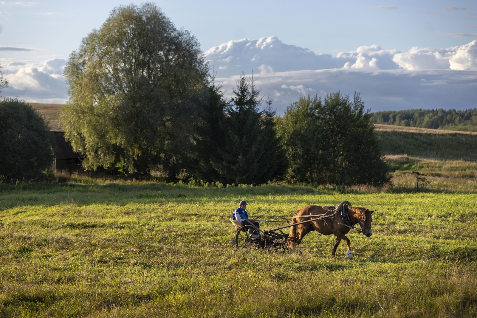 A person sits in an old-style horse-drawn mowing machine, behind a single horse, in a grassy field.