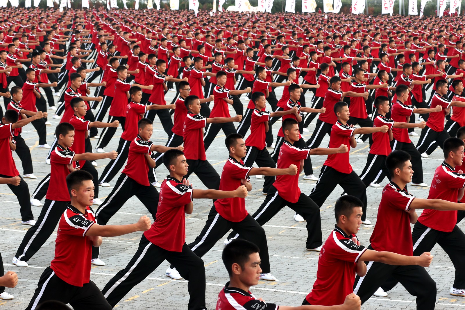 Hundreds of people stand in rows together, practicing martial art arts.