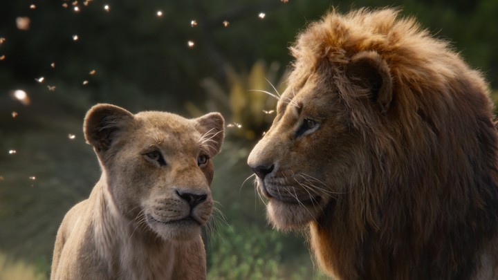 The Live Action Lion King Disney S Uncanny Remake The Atlantic