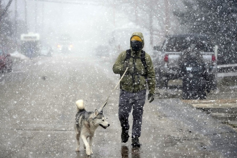 A person walks their dog in a street in the falling snow.