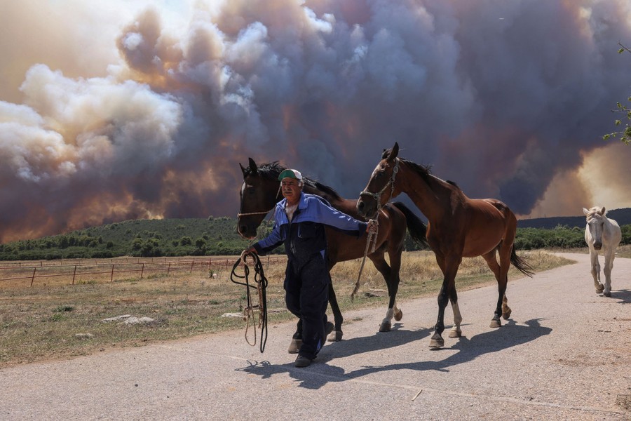 A man evacuates horses as a wildfire burns nearby.