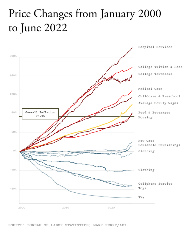 A graph demonstrates how prices for various goods have inflated over the last two decades.