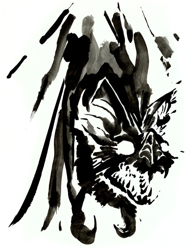 Review: 'The Nature of Fear,' by Daniel T. Blumstein - The ...